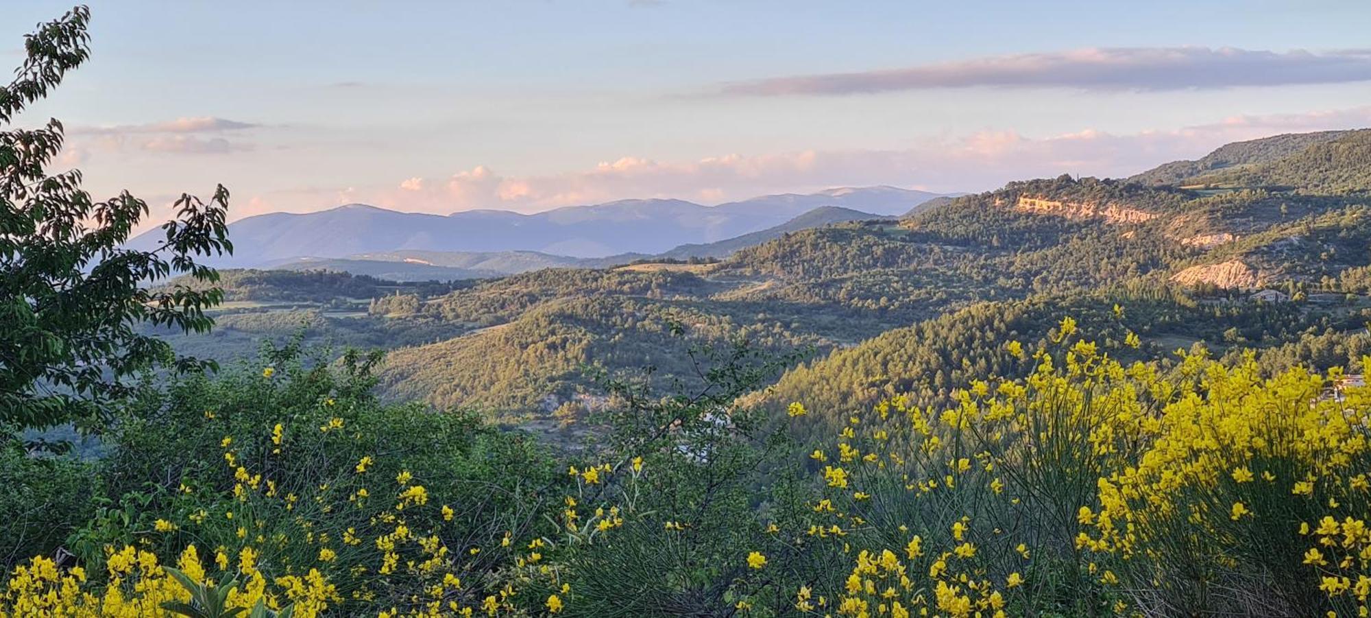 Hébergements insolites - Détente en Luberon Viens Exterior foto